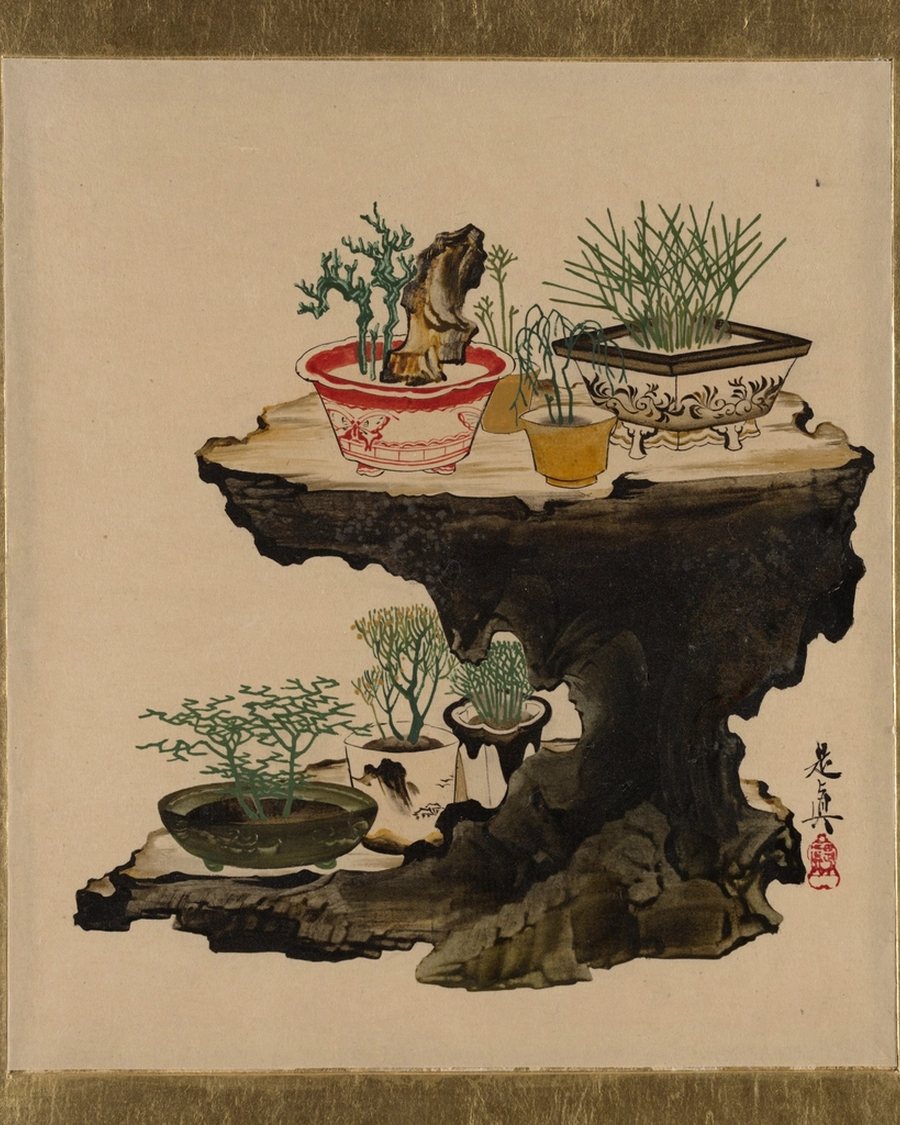 Bonsai Ink Study, Framed