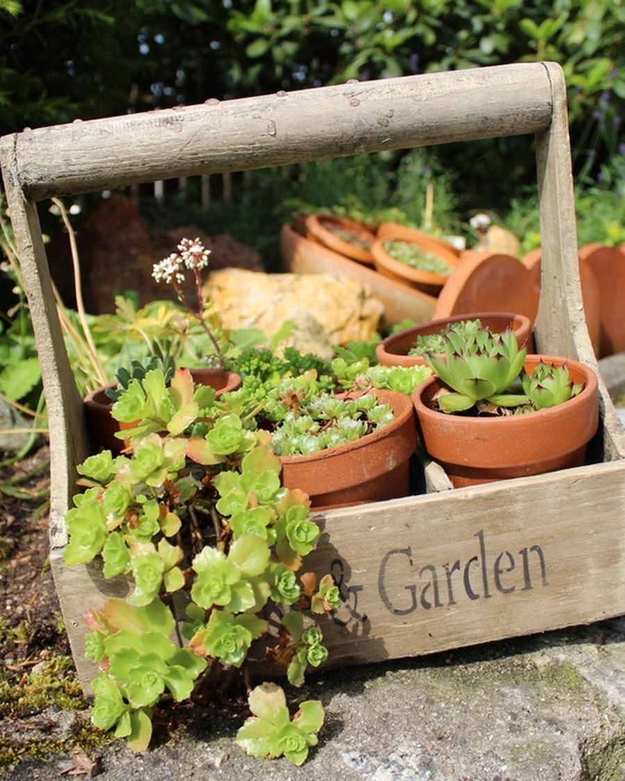 Timber Garden Crate Planter