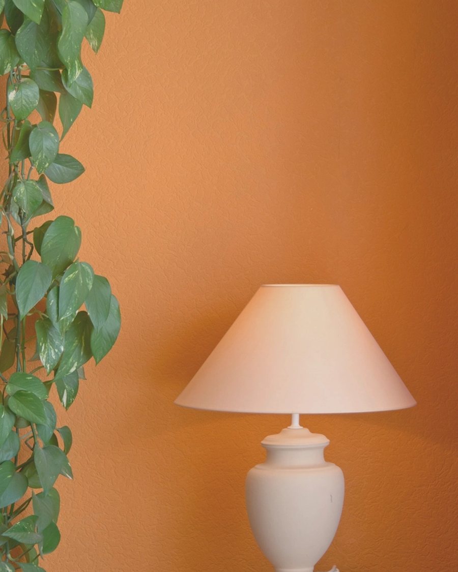 Tapered Drum Shade, Chalk White