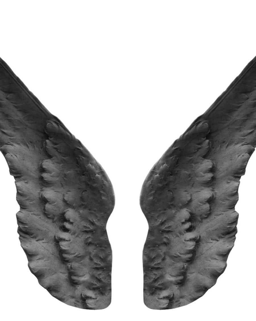 Angel Wings Wall Plaque