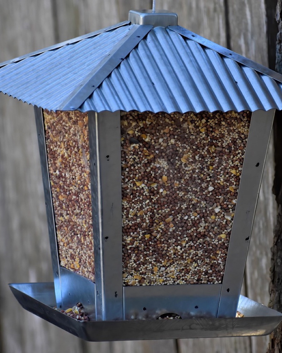 Hanging Seed Feeder with Metal Roof
