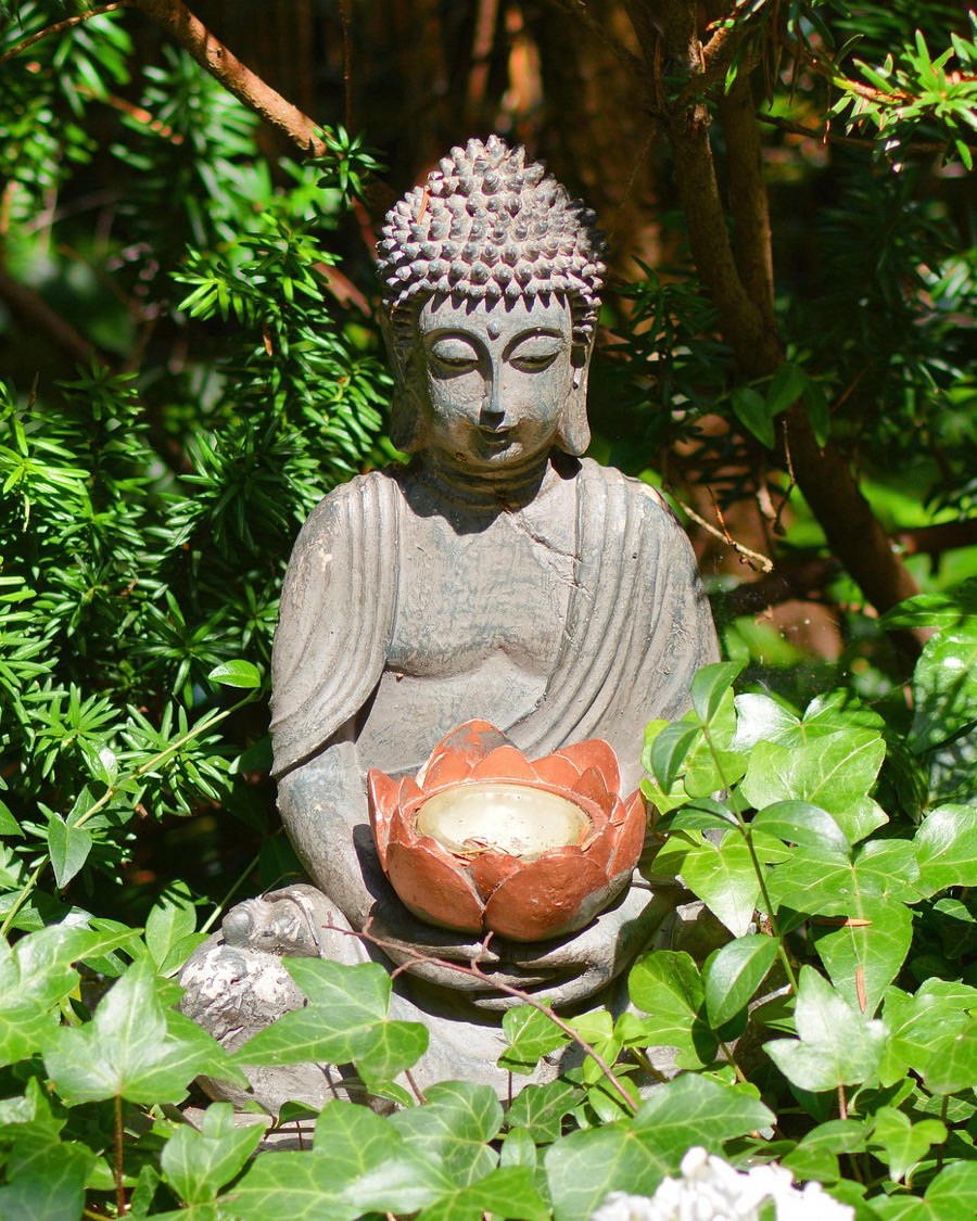 Garden & Outdoor