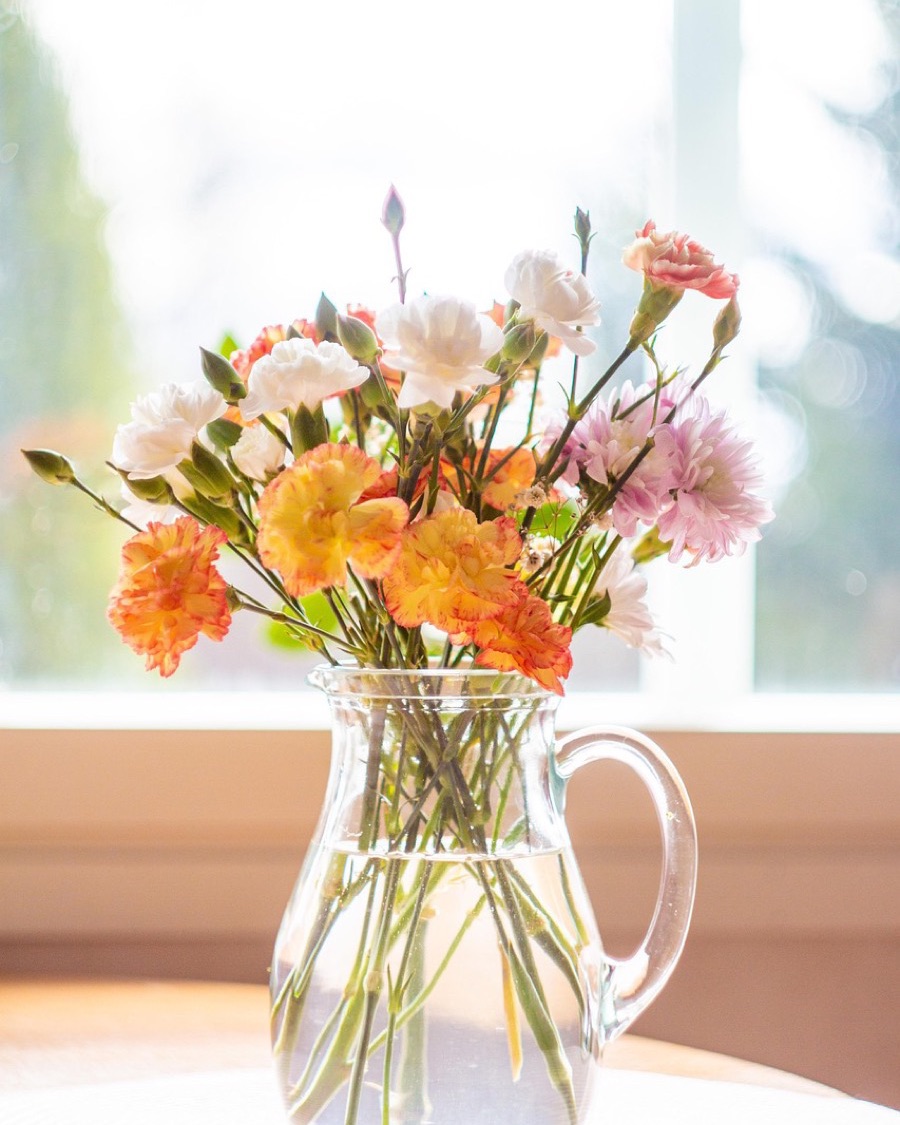 Glass Pitcher Vase