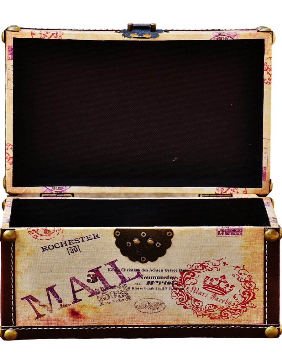 Printed Travel Trunk