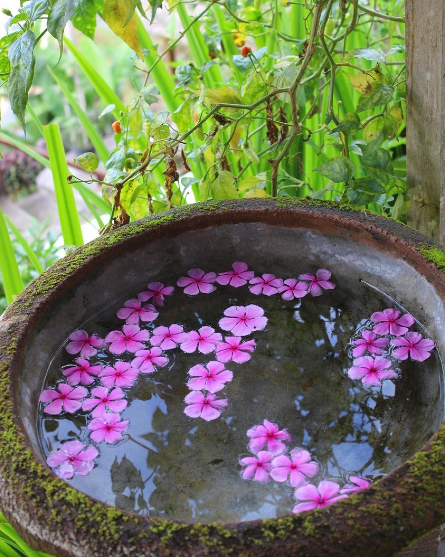 Stone Urli for Floating Flowers