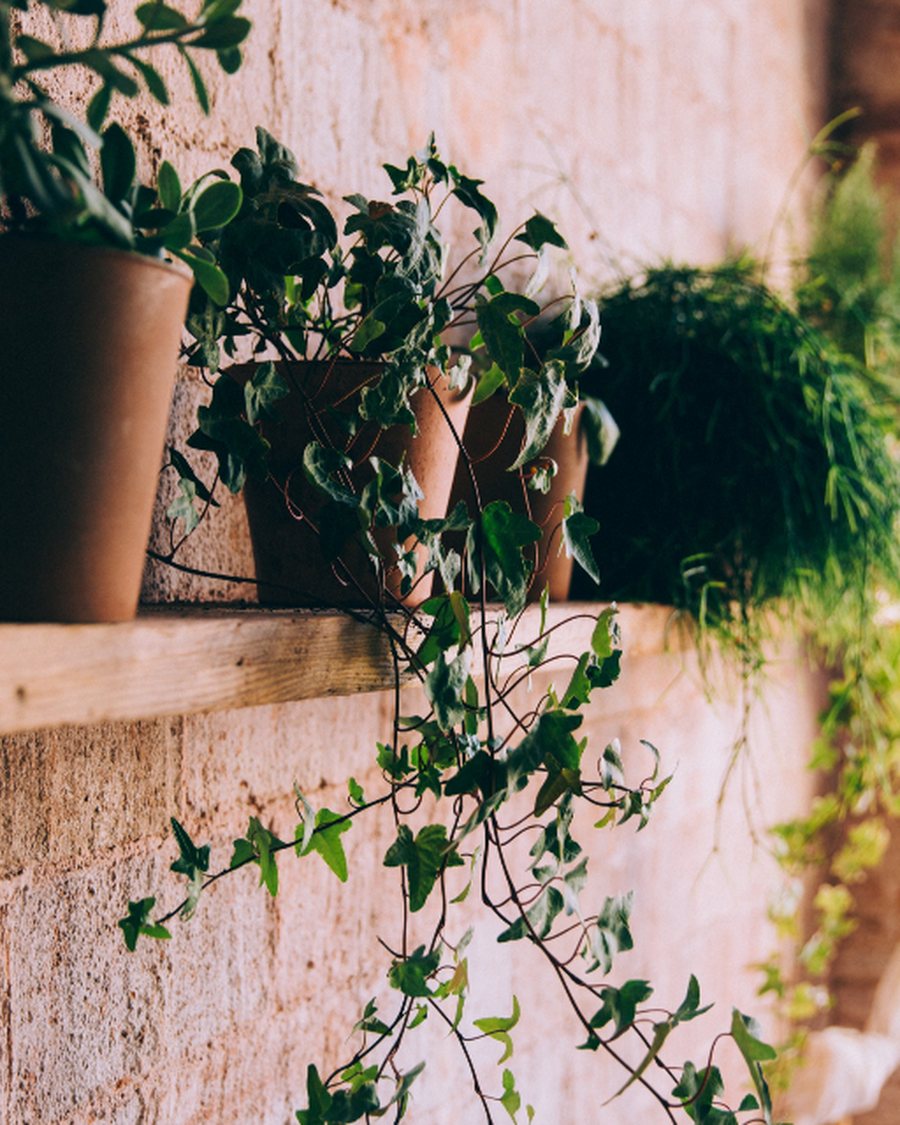 Hanging Wall Planter, Set of 2