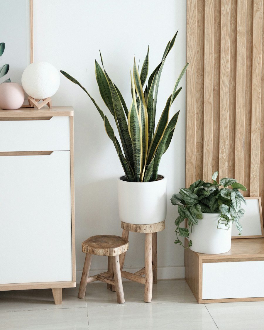 Faux Snake Plant in White Pot
