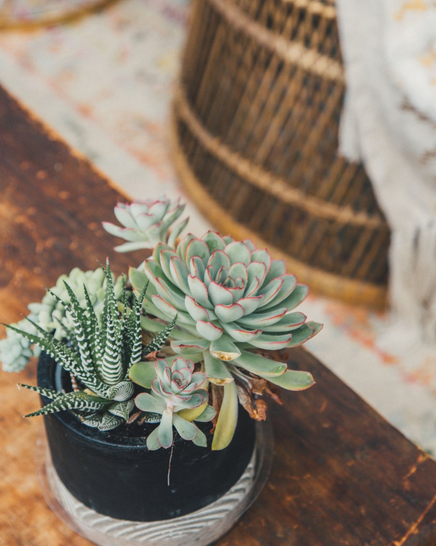 Faux Succulent in Concrete Pot