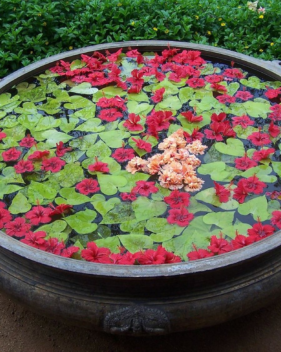 Brass Urli with Floating Flowers