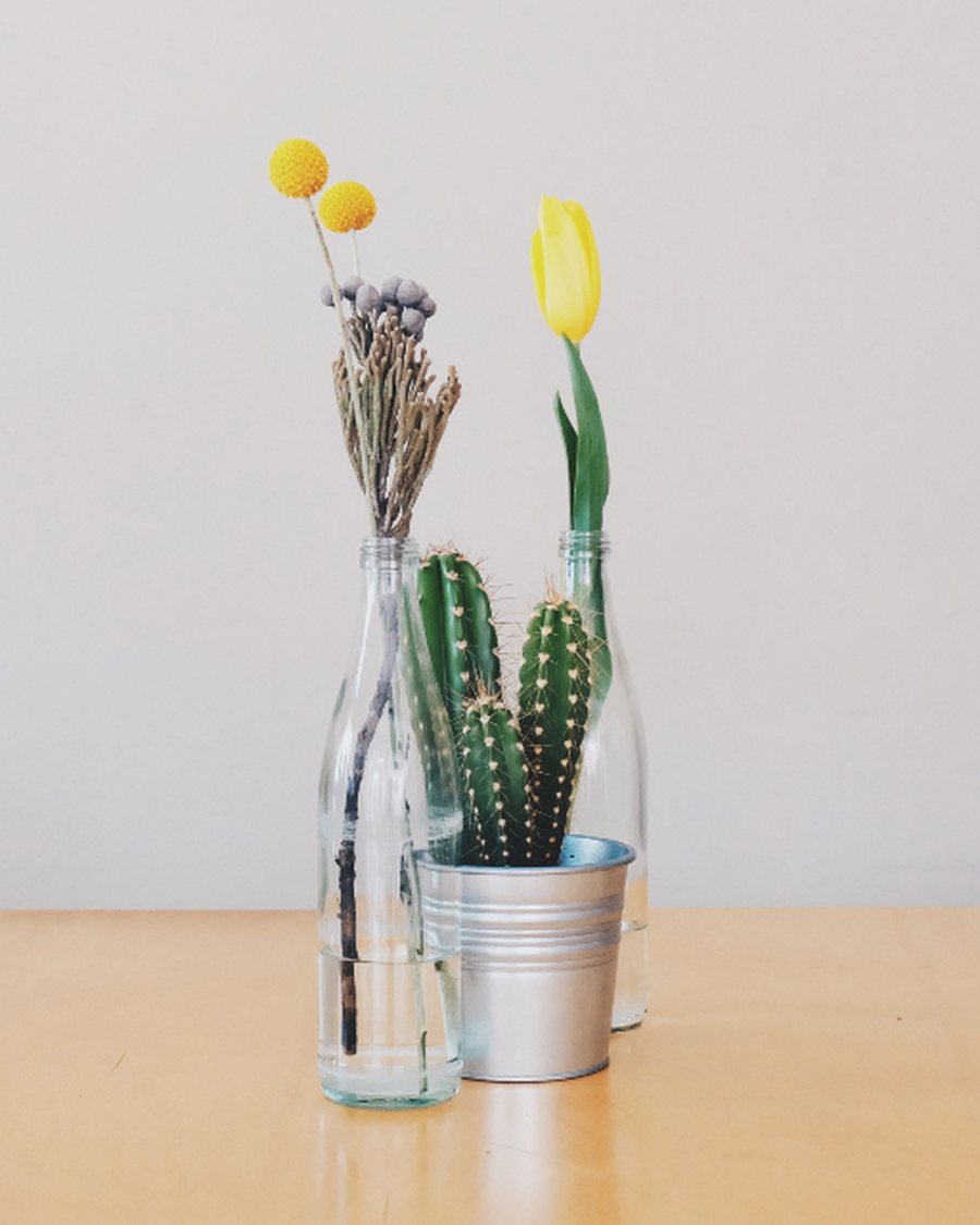 Bud Vase Pair, White