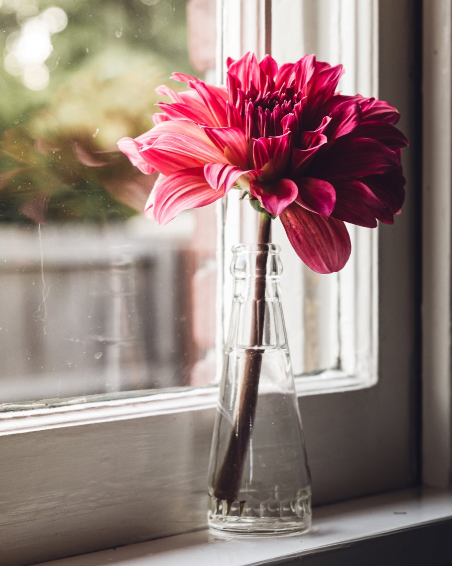 Clear Glass Stem Vase