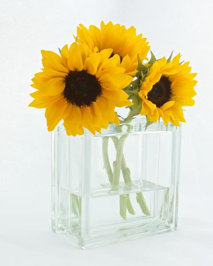 Square Glass Vase, Clear